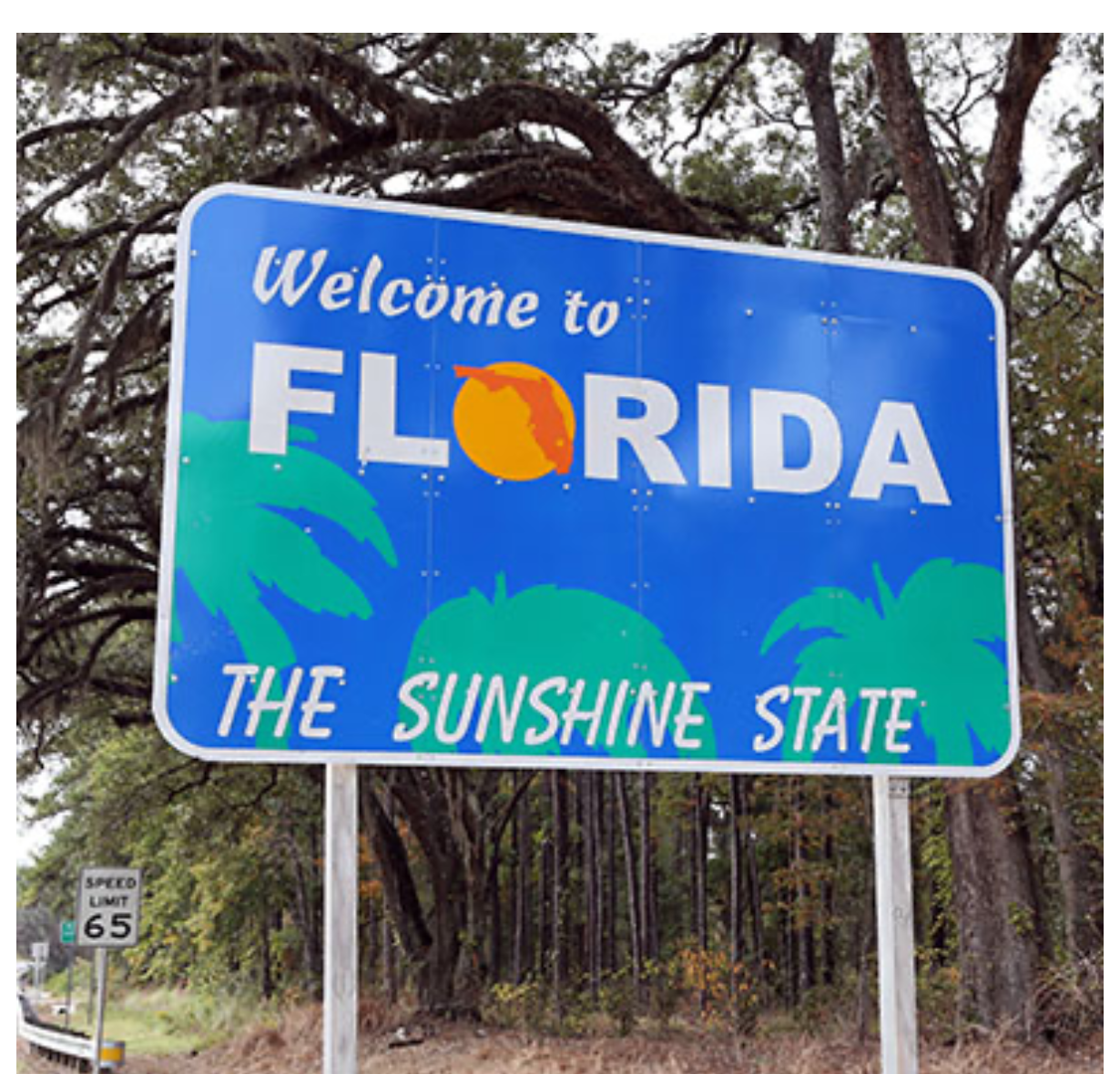 Welcome to Florida - The Sunshine State